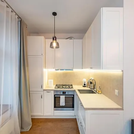 Family 2 Bd Old Town By Hostlovers Kaunas